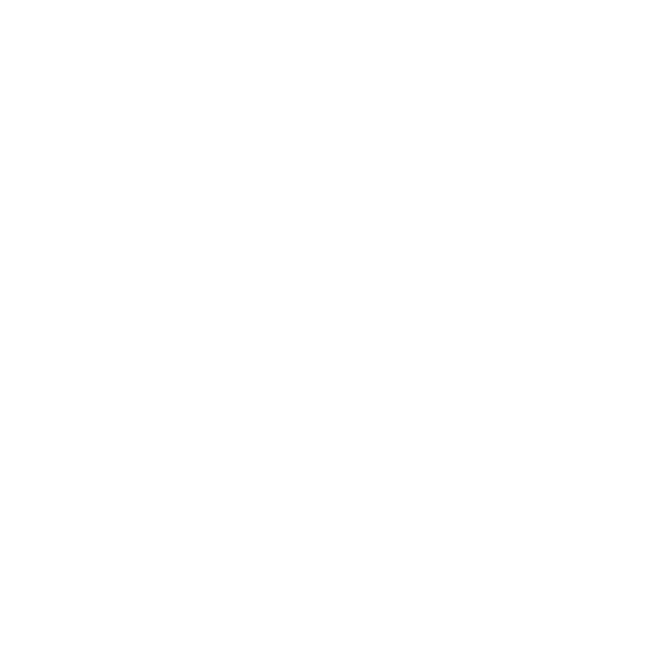 Tulips Spark Cleaning Solutions